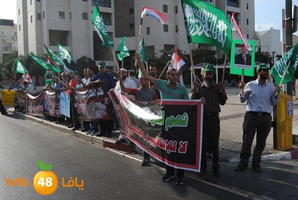 td egypt empassy 814 (46).JPG